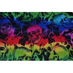 Rainbow Skull Sold by the...